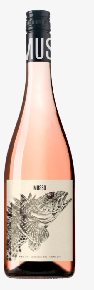 Musso Bobal Wine Bottle Design, Wine Label Design, - Musso Bobal Rose #4671982