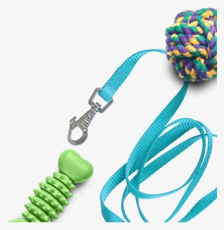 “our 100% Petproof Floors Are Good At Staying Beautiful - Dog Toy #4673214