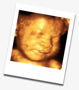 World Of My Baby Offers A Full Range Of Services For - Photograph #4673718