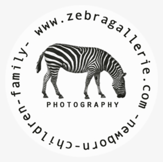 Cart $0 - 00 - Zebra #4675205