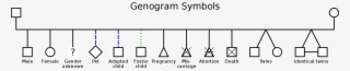 Open - Female Genogram Symbol #4676326