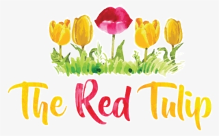 Sprenger's Tulip #4676632