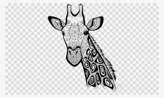 Zentangle Giraffe Art Clipart Giraffe Line Art - Icon Png Cook #4676732