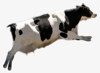 Report Abuse - Holy Cow: A Factory Farm Fable [book] #4677798