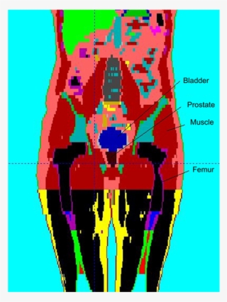 Visualization Of The Different Structures Present In #4679256