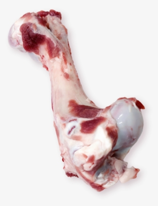 Femur Bone - Lamb And Mutton #4679703
