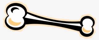Vector Bone Femur Clip Royalty Free Library - Clip Art #4680134