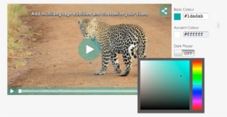 Customizable Video Player - Youtube Custom Embed Player #4680198