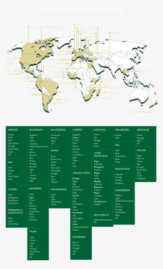 Exotic Fruit - Parallel #4680620