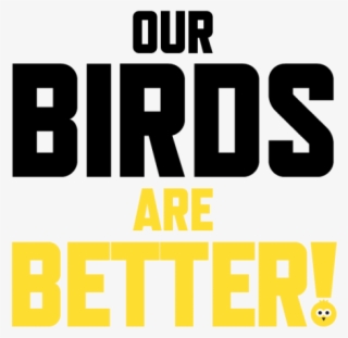 Our Birds Are Better - Orange #4681520