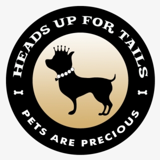 Heads Up For Tails, India-based Dog Accessory Brand, - Heads Up For Tails #4682687