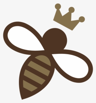 Droga Chocolates #4682874