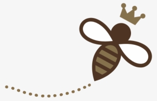 Droga Chocolates Droga Chocolates - Droga Chocolates #4683442