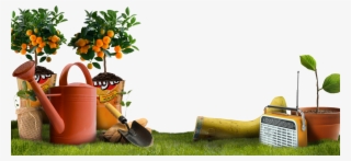 ¿cómo Cultivar Frutas Y Hortalizas En Macetas - Retrospect Group Orange Tree Window Sticker #4683707