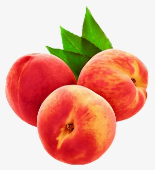 Peach Sexy Fruta Aesthetictumblr Tumblr Png Freetoedit - Peaches Clipart Png #4683904
