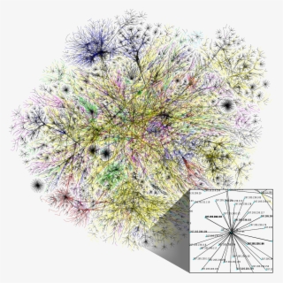 List Of Internet Phenomena - Map Of Neural Pathways #4686386