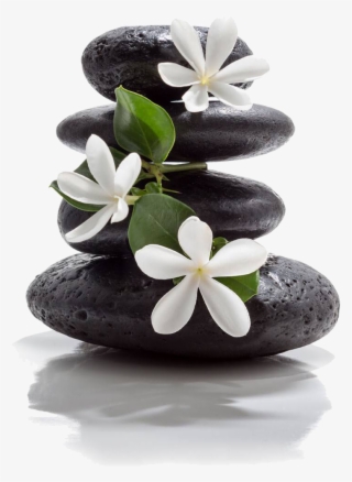 Eye Lash Extensions - Stone Spa Treatments #4688354