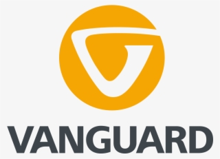 A Global Leader In Photo-video Accessories And Sports - Vanguard Alta Rise 33 Camera Shoulder Bag #4688984