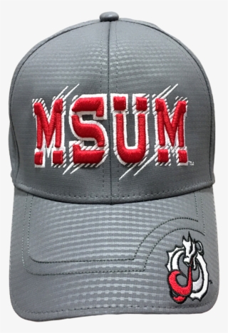 Product Description - Baseball Cap #4689531