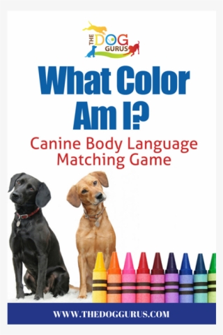Canine Body Language Made Easy To Learn As A Fun Game #4690867