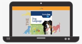 Knowing Dogs 101 Is Recommended For All Staff Members - Herding Dogs #4691428