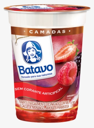 Iogurte Camadas Frutas Vermelhas 170g - Iogurte Com Linhaça #4691531