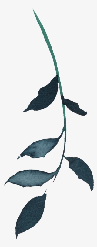 Hand Painted Gray Green Willow Leaf Png Transparent - Green #4693955