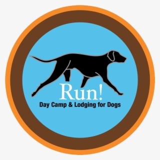 Dog Catches Something #4695812