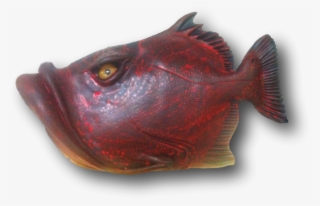 Fish With Attitude - Deep Sea Fish #4697858
