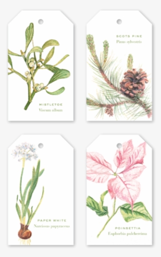Christmas Botanical Unpersonalized Multi Gift Tags - Christmas Day #4699004