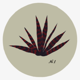 Illustrations Inspired By A Visit In A Botanical Garden - Botanical Garden #4699911