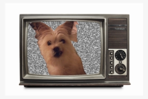 Photo - Back To The Future The Animated Series Brothers #470206