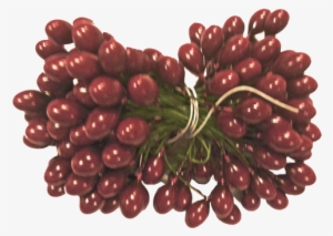 Burgundy Holly Berries 5 Gross - Seedless Fruit #471284