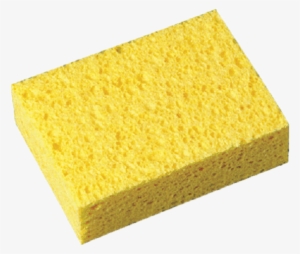 Scotch Sponge #471350