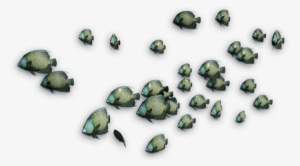 Coral Reef Fish - Coral Reef Fish Png #471468