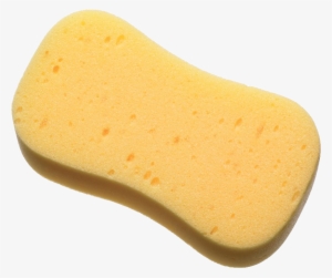 Foam Sponge #471471