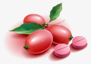 Miracle Berry Tablets - Mberry Make Life Sweet #471777