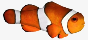 Clownfish Zerosvalmont - Clown Fish Png #471953