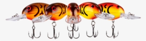 The Right Ricochet - Bandit 200 Series Crankbait 2" Crossbreed 1/4 Oz. #472938