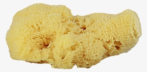 Home - Facial #473287