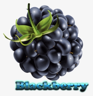 Blackberry Free Download Png #473990