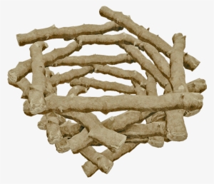 Portable Network Graphics #474215