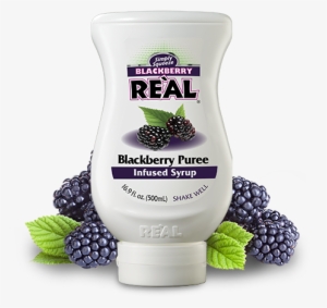 Reàl Ingredients Product Image Blackberry - Real Blueberry Infused Syrup - 16.9 Fl Oz Bottle #474576