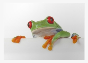 Z Zab W Ksiezniczki By John Grinder #475716