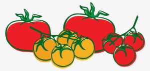 Tajin Jalapeno Pepper - Home Farmer Tomato Seed Kit #477561