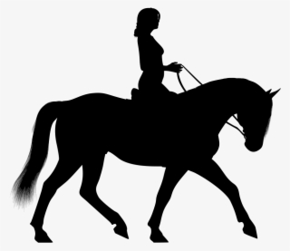 Silhouette,black,female - Horse And Rider Silhouette #478350