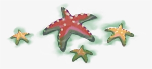 Seastar Path - Starfish #479343