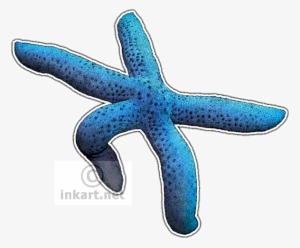 Blue Sea Star Decal - Starfish #479501