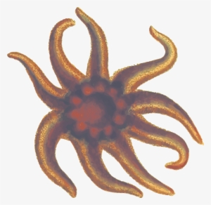 This Free Icons Png Design Of Seastar 2 #479531