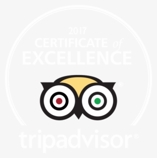 Check Out The Most Recent Episode Featuring The Ranch - Trip Advisor #4703679